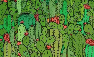 Samo za one sa visokom inteligencijom: Možete li pronaći tri životinje među ovim kaktusima?