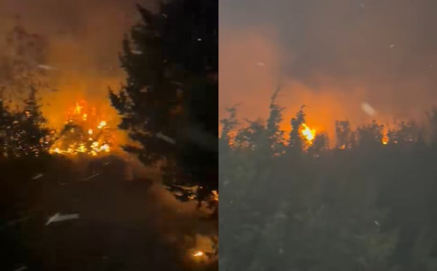 Novi požar u Hercegovini: Vatrogasci se satima borili s vatrom