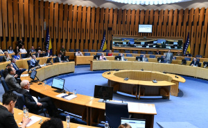 Dom naroda Parlamenta FBiH sutra o pravu porodilja na prisustvo pratnje tokom trajanja poroda