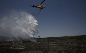 Posljedica ekstremno visokih temperatura: Vatra hara  Grčkom