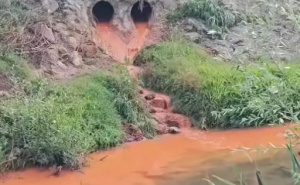 Rijeka Sapna opet zagađena: Hoće li doći još jednom do pomora ribe