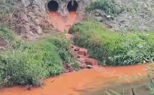 Rijeka Sapna opet zagađena: Hoće li doći još jednom do pomora ribe