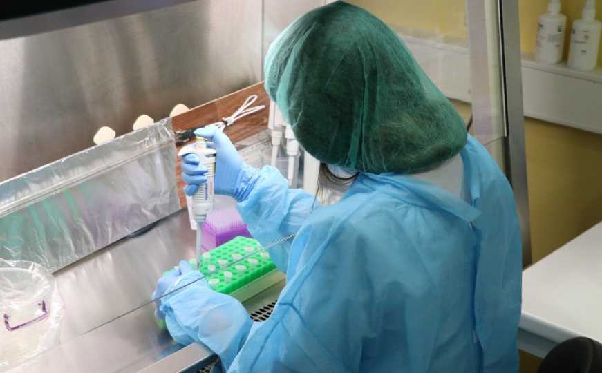 U Hrvatskoj potvrđen prvi slučaj bolesti plavog jezika