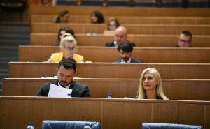 Zastupnici iz RS-a odbili zaključke o nedovoljnoj zastupljenosti Bošnjaka u državnim institucijama