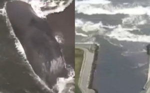 Talasi stigli do Japana, kitovi se nasukali na obali: "Odmah se evakuišite sa obale"