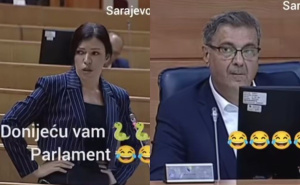 Pogledajte hit video iz Parlamenta BiH: Sanja Vulić, Milorad Dodik i zmije