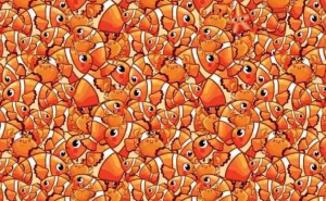 Test opažanja: Pronađite morsku zvijezdu među zlatnim ribicama i rakovima