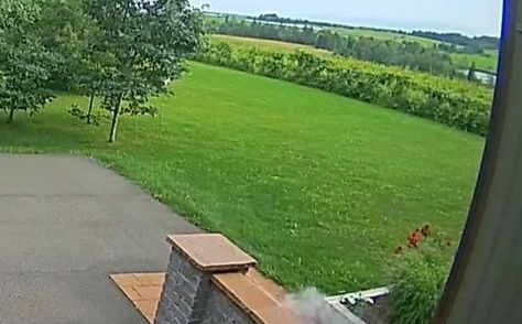 Rješenje za uklanjanje mahovine iz dvorišta: Jednostavnije je nego što mislite