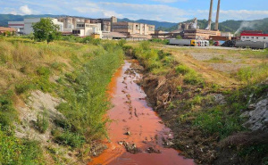 Inspekcija šuti na zagađenja rijeke i pomor ribe: Aktivisti vjeruju da je za sve kriva ova firma