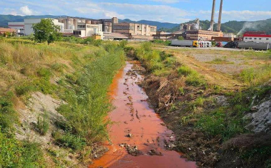 Inspekcija šuti na zagađenja rijeke i pomor ribe: Aktivisti vjeruju da je za sve kriva ova firma