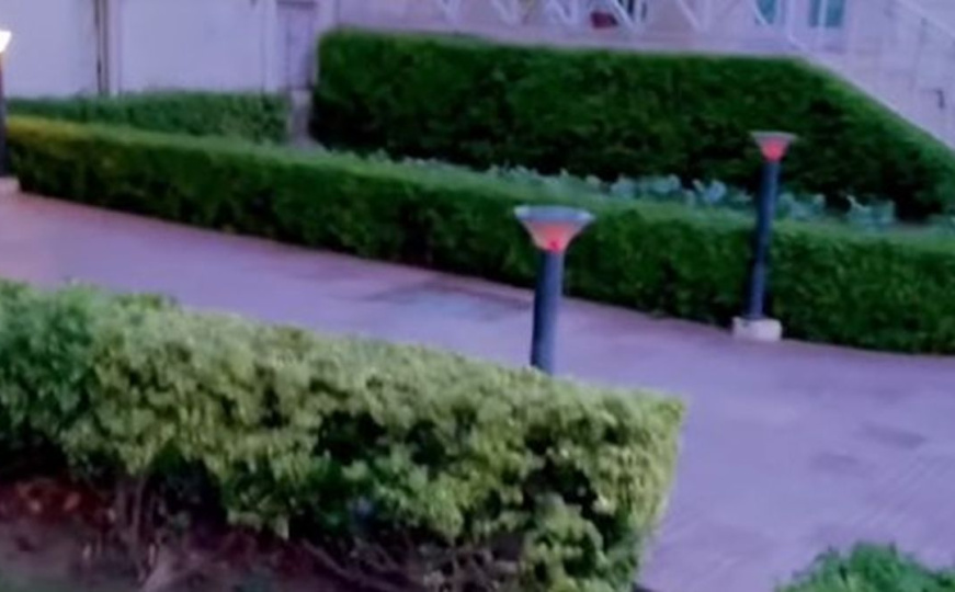 Produžite vijek trajanja solarnim lampama: Stručnjak preporučuje ovu metodu