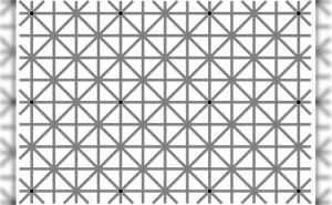 Test optičke iluzije: Koliko tačaka možete da vidite?