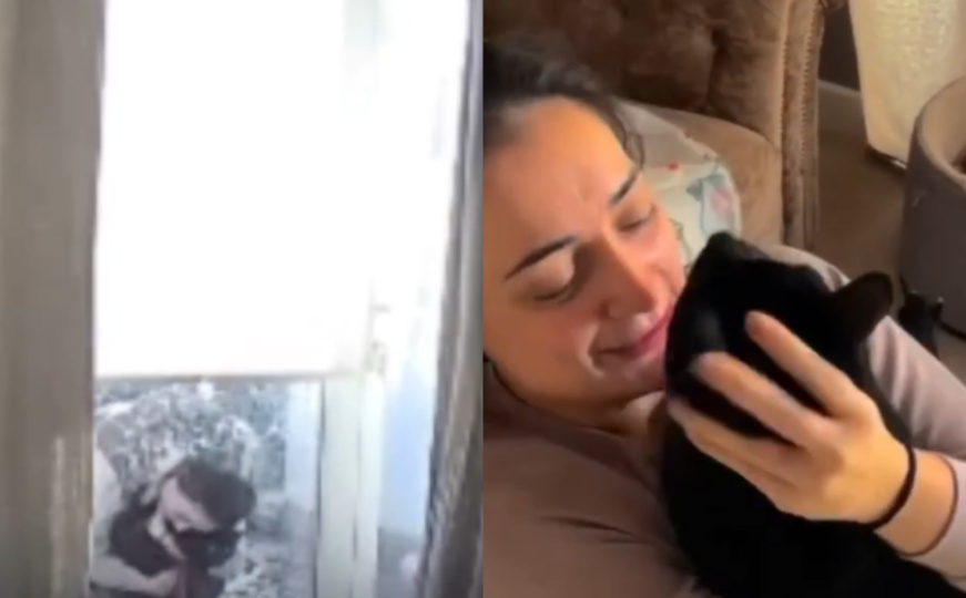 Mačak se vratio kući nakon 74 dana i rasplakao mnoge: "Roddey, jesi li to ti?"