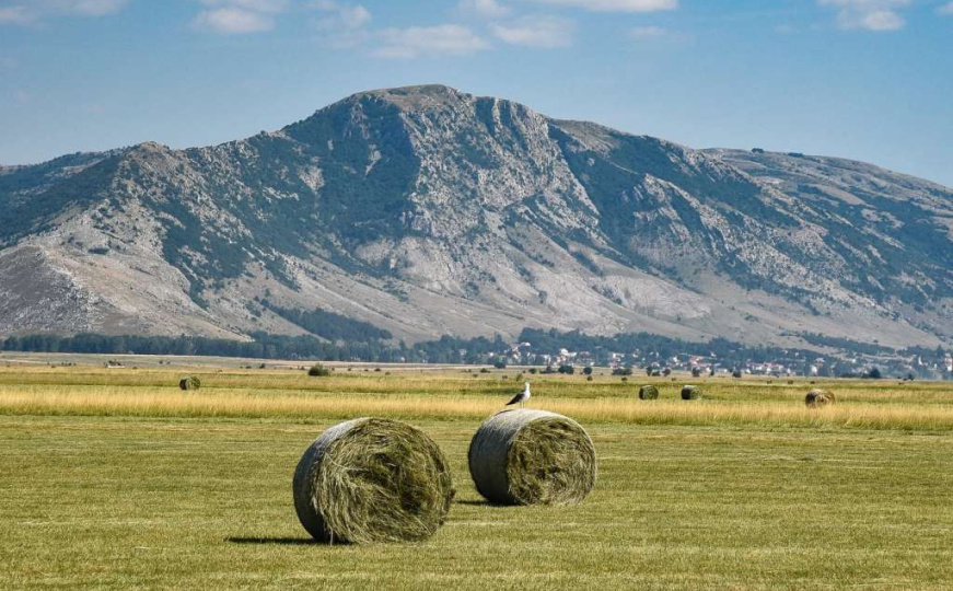 Alarmantno upozorenje Aarhus centra: "Preko 500 elektrana prijeti vodenim resursima BiH i Hrvatske"