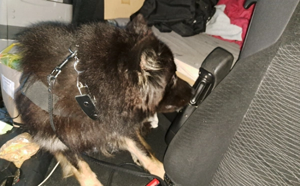 Državljanin BiH pao na granici sa Slovenijom: Pas nanjušio 13.000 eura skrivenih u vozilu