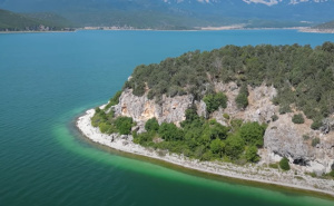 Najopasnije ostrvo u komšiluku? Na njemu živi 7.000 zmija, na svakom koraku vreba poskok