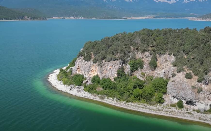 Najopasnije ostrvo u komšiluku? Na njemu živi 7.000 zmija, na svakom koraku vreba poskok