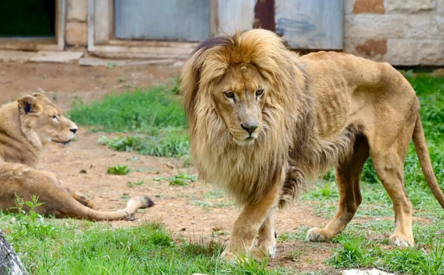 Građani ogorčeni zbog prizora iz Pionirske doline: Oglasila se zamjenica gradonačelnika Sarajeva