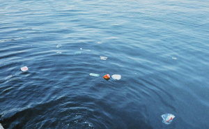 Ribari očajni: Sredozemlje više nije more života, nego more plastike