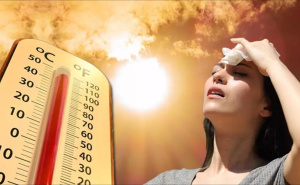 Balkan pod teškim toplotnim valom: Temperature do 40 stepeni, upaljeni alarmi