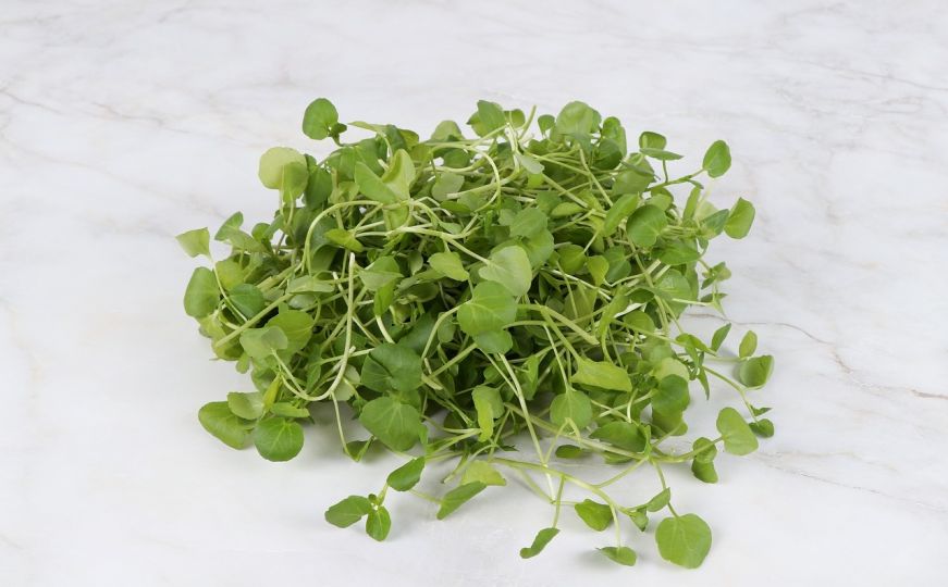 Možete je posaditi i na balkonu: Ovu biljku nazivaju najzdravijom namirnicom na svijetu