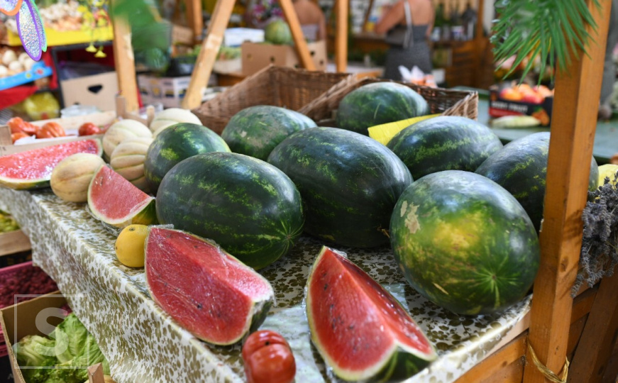 Stotine tona dinja i lubenica propada na poljima: "Radije ćemo pokloniti nego baciti"