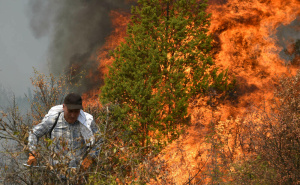 Još jedna besana noć za crnogorske vatrogasce: Požari i dalje aktivni u više opština