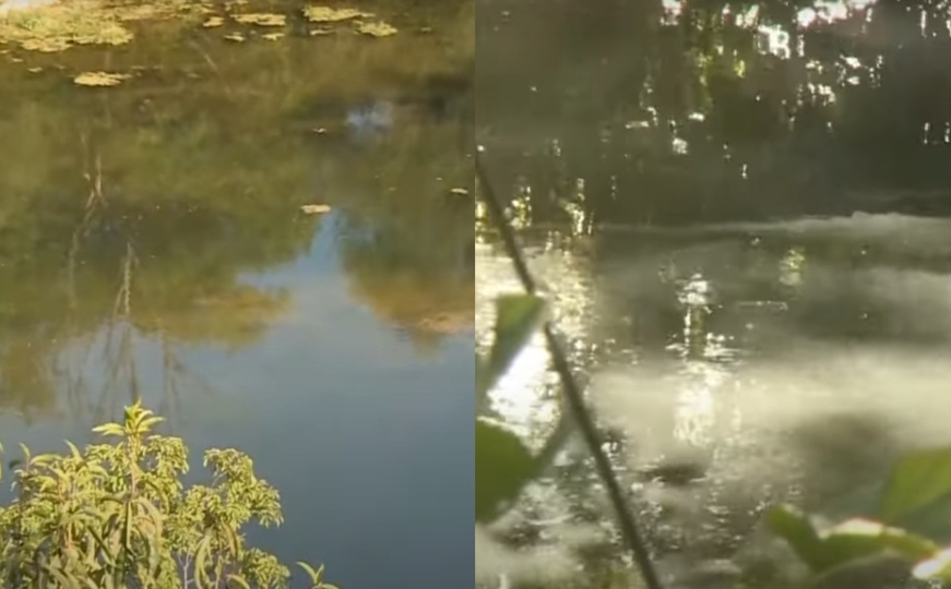 Alarmantno upozorenje: "Una će se pretvoriti u smrdljivi kanal, mogli bismo je zauvijek izgubiti"