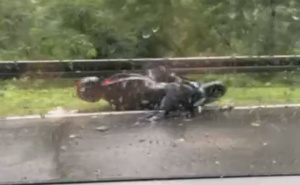 Još jedna tragedija na bh. cesti: Motociklista poginuo u sudaru sa automobilom kod Foče