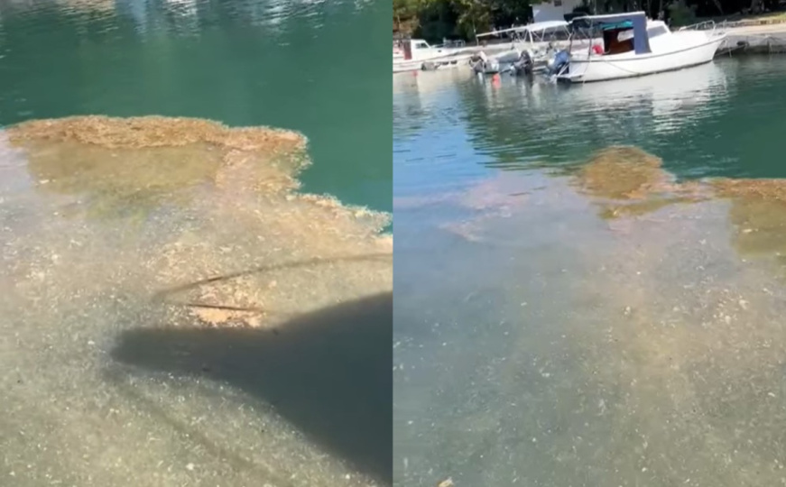 Vijećnik objavio snimak iz Trogira: Rijeka fekalija digla grad na noge, oglasio se gradonačelnik