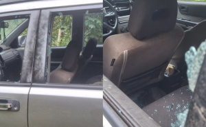 Bizaran slučaj u Crnoj Gori: Mještani tvrde da ih je medvjed - gađao kamenom