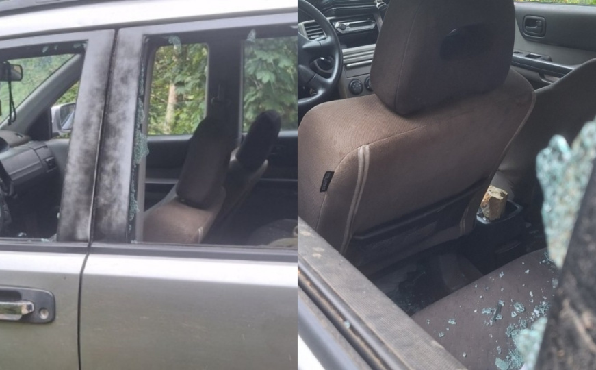 Bizaran slučaj u Crnoj Gori: Mještani tvrde da ih je medvjed - gađao kamenom