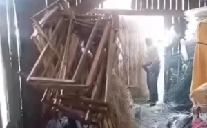 Užas u Velikoj Kladuši: Muškarac snimljen kako seksualno zlostavlja kokoš