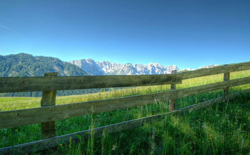 Zaboravite četku: Ovo je najbrži trik za farbanje ograde