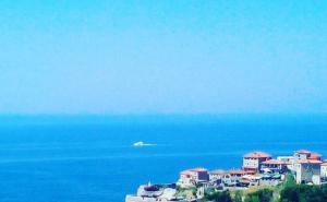 Za njom je tragao švedski Interpol: U Crnoj Gori uhapšena državljanka BiH (57)