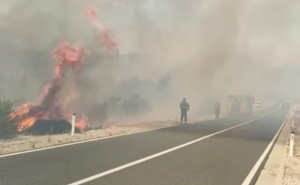 Veliki požar u Neumu: Zbog vatre obustavljen saobraćaj na ovim putnim pravcima, ugrožene kuće
