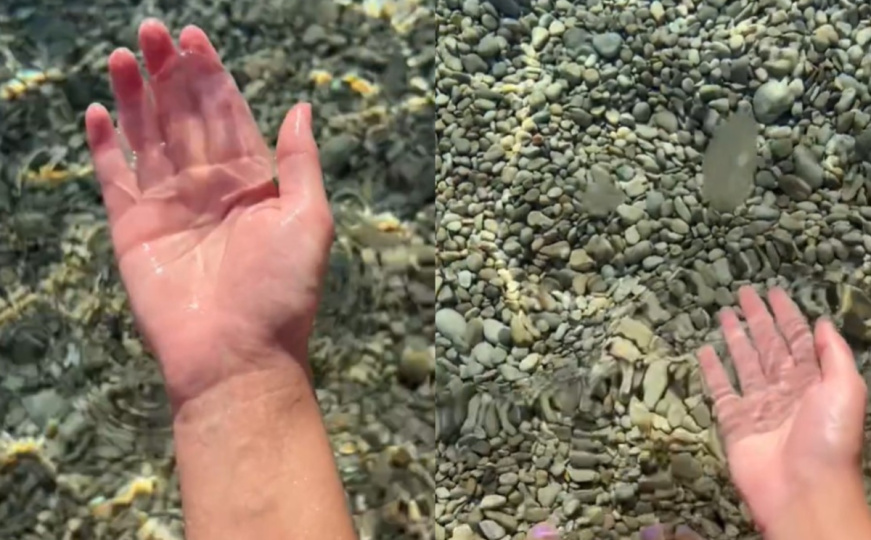 Sluzava stvorenja nalik meduzama preplavila Jadran: Naučnica objasnila o čemu je riječ