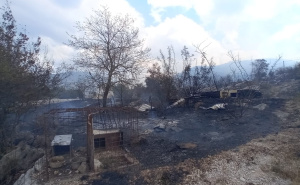 Kiša konačno ugasila požar u Neumu, mještani i vatrogasci odbranili kuće i živote