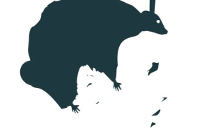 Optička iluzija koja otkriva vaš najveći strah: Šta ste prvo vidjeli na fotografiji?