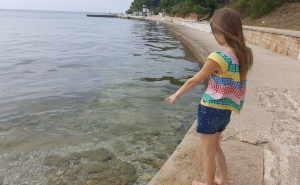 "Ljudi imaju osjećaj da plivaju u želatini": Šta se dešava u moru pored pojedinih plaža na Jadranu