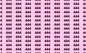 Na slici se nalazi skriveni broj koji nije 444: Možete li za 12 sekundi da pronađete rješenje?