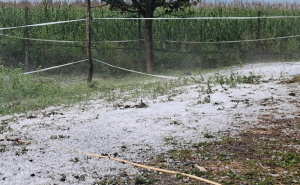 Oluja poharala Sloveniju i Italiju: Ulice pretvorene u rijeke, vjetar čupao krovove