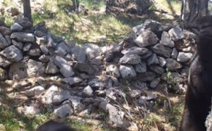 Neobičan video zvijeri na Velebitu: "Bolje pleše od mene"