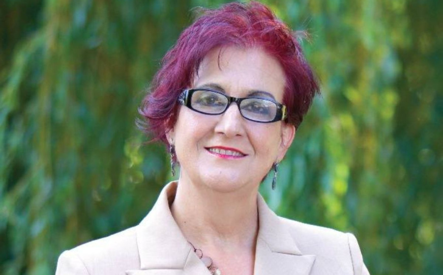 Osniva se nova stranka u BiH na čelu sa Naidom Ribić: Iskustvo iz dijaspore želi prenijeti ovdje