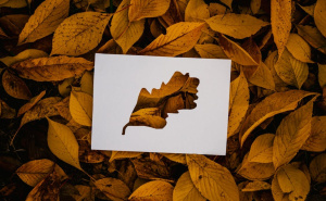 Ništa neće ostati isto: Ova 3 znaka Zodijaka u septembru ulaze u potpuno novo životno poglavlje