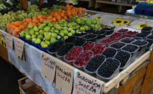 Malinari u RS nezadovoljni otkupnom cijenom: Nude im 6,5 KM za kilogram, traže 8,5 KM