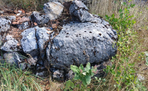 Otkrivene tri velike nekropole u Rogatici: Fondacija "Čuvari baštine" pokreće istraživanje