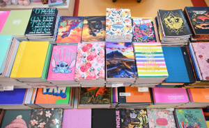 Sve skuplji povratak u klupe, opremanje za školu košta i do 600 KM: "Morao sam podići kredit"