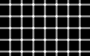 Zabavna vikend mozgalica: Dobro se zagledajte i odgonetnite koliko je crnih tačkica na fotografiji