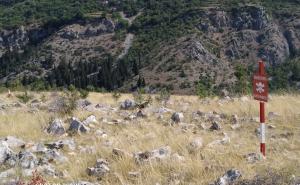 Tragedija u BiH: Mladić poginuo u minskom polju dok je vraćao koze